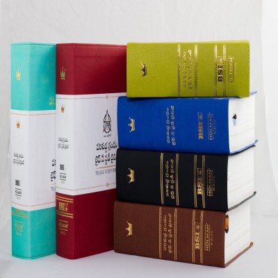 Telugu Study Bible (TSB)