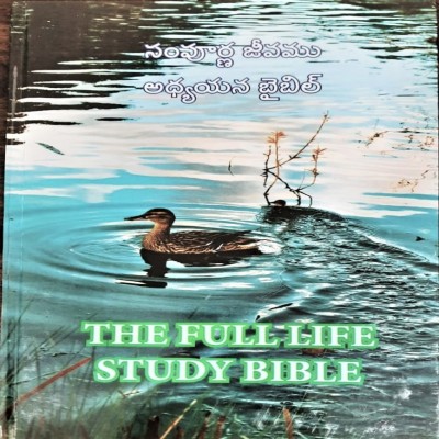 Full Life Study Bible